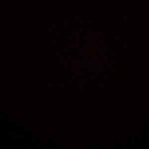 Meet your Posher, Sophia